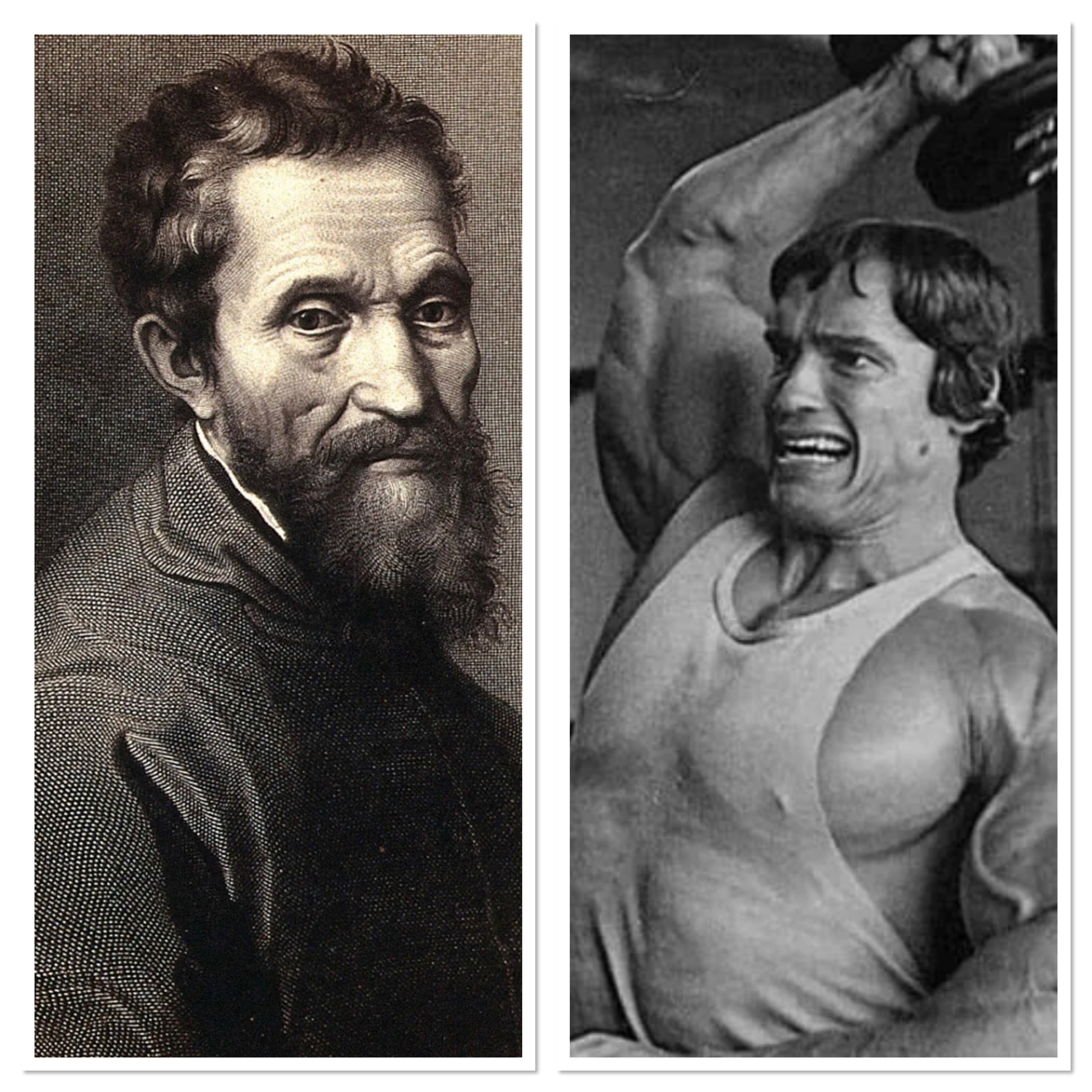 "What Does Arnold Schwarzenegger Have in Common with Michelangelo?